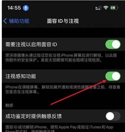 砀山苹果14维修网点分享iPhone14注视感知功能有什么用 